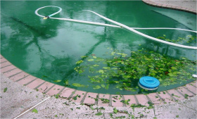 Химия для дезинфекции: как не превратить бассейн в болото